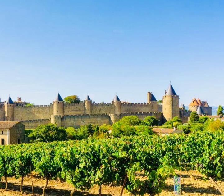 T2 Cocooning Vue Panoramique Cite Apartman Carcassone Kültér fotó